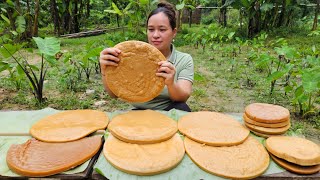 How To Make Cakes From Rice  Cook Squash With Vegetables For Pigs  Lý Thị Ca [upl. by Dianne554]