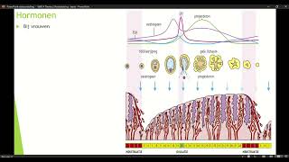 Klas 4 VWO Thema 2 Voortplanting amp seksualiteit basisstof 3 Hormonen deel 3 [upl. by Aianat704]