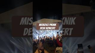 Miskolci piknik MiniVlog [upl. by Berghoff]