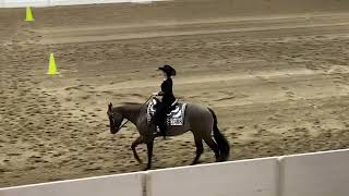 All American Youth Horse Show Horsemanship with Willy B Dynamic Willy horse equestrian viral [upl. by Merrile]