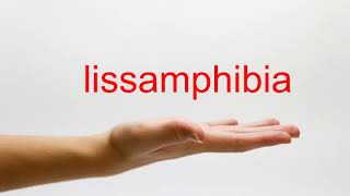 How to Pronounce lissamphibia  American English [upl. by Akinas]