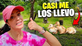 QUIERO Unos PATICOS YA 😅 Hoy Limpiamos el Bosque de la Finquita Bonita 😱 Sandra Cires Vlog [upl. by Omrellug43]