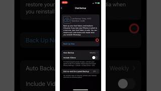 How to Restore WhatsApp Messages on iPhone [upl. by Erodaeht149]