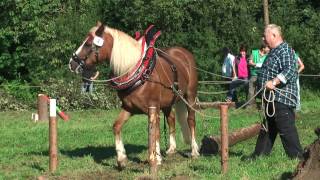 PferdeStark 2015  Impressionen von der Europameisterschaft im Holzrücken [upl. by Nuahsyd]