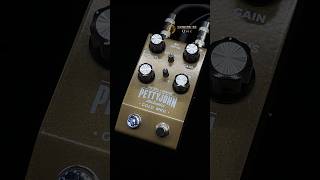 PETTYJOHN Electronics  GOLD MKⅡ  Strato  ペダルの違いがわかる動画  中古楽器専門店 Qsic [upl. by Iadrahc]