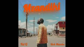 Fid Q x Rich Mavoko  Mzandiki Official Audio [upl. by Amund]