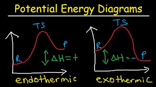 Potential Energy Diagrams  Chemistry  Catalyst Endothermic amp Exothermic Reactions [upl. by Losse]