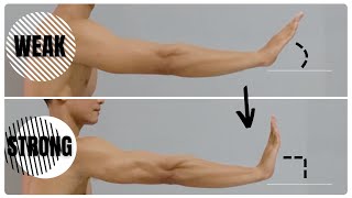 6 Best Wrist Mobility Exercises [upl. by Kannav189]