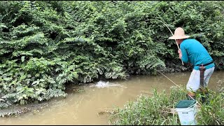 Uma agua que represou do rio bem baixinha traíras e tilápia pescaria [upl. by Dane588]