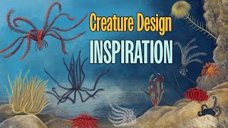 Studying Feather Stars Crinoids as Creature Design Inspiration [upl. by Aurita441]