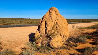 Termite Mounds Near Exmouth Western Australia  4K Ultra HD [upl. by Klehm341]