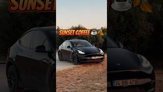 Sunset Coffee With Tesla ☕️🍂 [upl. by Charpentier]