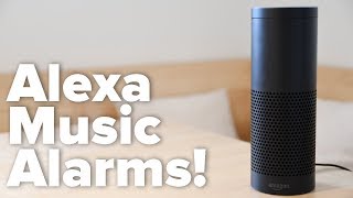 How to Wake Up to Music with Alexa [upl. by Eniamrej]