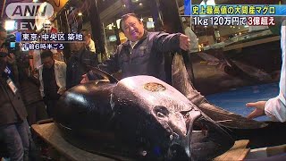 大間の本マグロに3億3360万円 豊洲市場で初競り190105 [upl. by Aerdnaek]