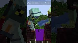 Minecraft 3 Person Telepathy [upl. by Aharon936]