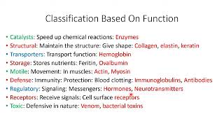 Proteins Classification Levels amp Properties  Lecture 4b [upl. by Hermann]