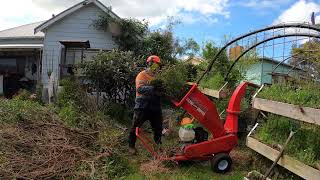 tree clean up after storm RedGum GX390 Landowner Chipper [upl. by Ahc232]