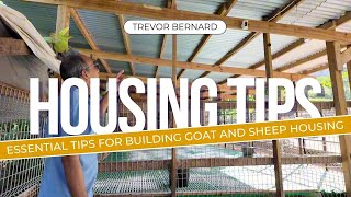 ESSENTIAL TIPS FOR BUILDING GOATS AND SHEEP HOUSING [upl. by Lejeune]