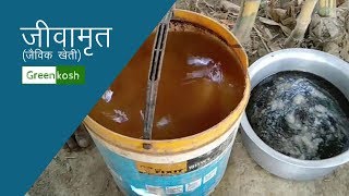 जीवामृत बनाने के सबसे आसान तरीका  How to make Jeev Amrit Jeevamrit for Organic Farming [upl. by Brawner]