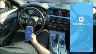 BMW F10 528i 535i 550i BimmerCode  iCar Pro [upl. by Ennaus362]