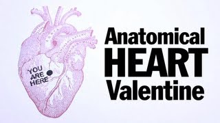 Anatomical Heart Valentines ThreadBanger How To [upl. by Aikahc]