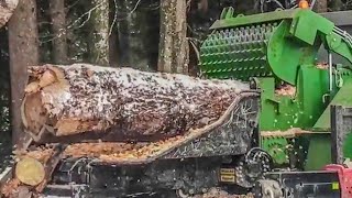 Amazing Dangerous Powerful Wood Chipper Machines Working Fastest Tree Shredder Machine Technology [upl. by Bearnard]