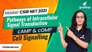 CSIR Master Series  Cell Signalling  Pathways of Intracellular Signal Transduction  cAMP amp cGMP [upl. by Doy]