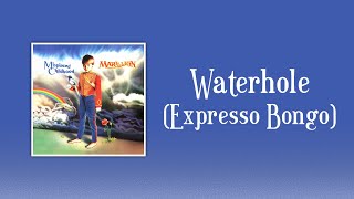 Marillion  Waterhole Expresso Bongo sanoitukset [upl. by Anurag]