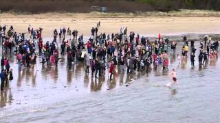 Rathmullan New Years Day Swim 2014 HD [upl. by Hardwick]