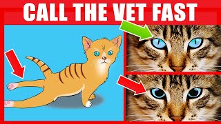 If Your Cat Does This IMMEDIATELY Call The Vet 16 Signs Your Cat Needs Urgent Help [upl. by Radford84]