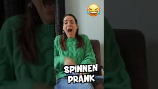 SPINNEN PRANK UITHALEN 😂🤣 Lach Je Suf Met Het Stoute Broertjes Moppenboek [upl. by Schroth]