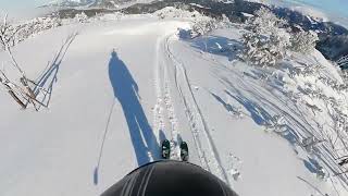 New Snow on Steinplatte  PowderFreeride Ski POV ASMR [upl. by Vivie]