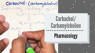 CARBACHOLCARBAMYLCHOLINE  Direct Acting Cholinergic Agonist  Pharmacology [upl. by Ayala]