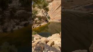 Red Rock National Recreation Area  Calico Tanks Trail Nevada redrock nature nevada [upl. by Enyaht731]