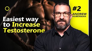 Dr Andrew Huberman Reveals How to Skyrocket Your Testosterone Levels [upl. by Aicenert]