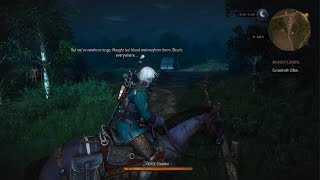 The Witcher 3 Unique Refugee Encounter Near Novigrad [upl. by Ailem]