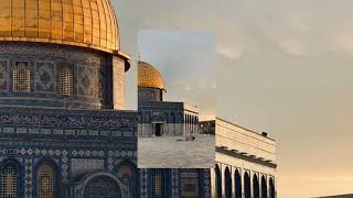 For the Palestine  Baraa Masoud  Vocals Only islam song nasheed quran palestine recommended [upl. by Ernestus190]