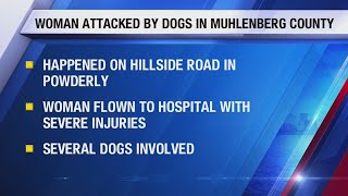 Woman severely injured by dog attack in Muhlenberg County [upl. by Antons]