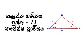 Advanced Level Combined Mathematics Practice Questions  Relative Velocity  Question 11 [upl. by Antsirhc]