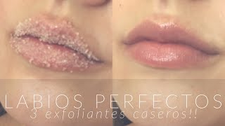 Labios perfectos TRES exfoliantes caseros  ANIIE’S DIARIES [upl. by Lubbock]