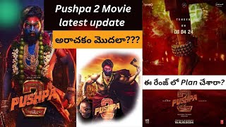 pushpa 2 telugu movie latest update  latest telugu movies [upl. by Casimir]