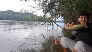 Rio cheio muito peixe na ponta da linha [upl. by Nananne]