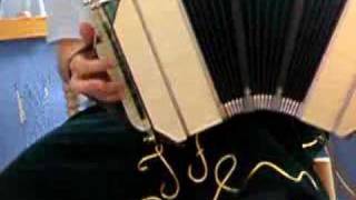 bandoneon solo tango quotole guapaquot [upl. by Tzong400]