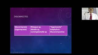 Mucormycosis  Diagnosis Treatment and Prevention [upl. by Ytisahcal]