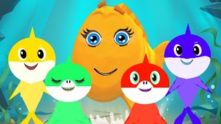 The More We Get Together  Lyrics Baby Shark Nursery Rhymes Kids Song Karaoke  preschool Fish Song [upl. by Cate]