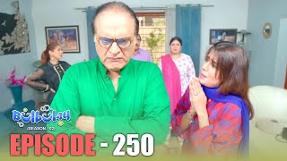 Bulbulay Season 2 Episode 250  Comedy  Ayesha Omar amp Nabeel  Momo  Mehmood Sahab [upl. by Atterg663]