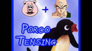 porco tensing super endurance test 10 min [upl. by Eaj]