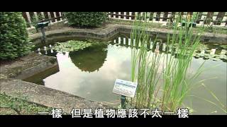 【MIT台灣誌 422 】走進台北植物園 穿梭歷史綠隧道 part2 [upl. by Gnilrad548]