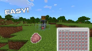 Minecraft Armadillo Farm 121 [upl. by Nossyla]