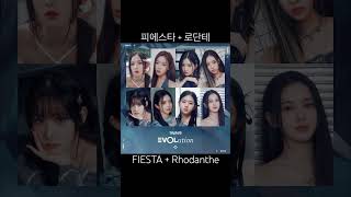 피에스타로단테 FIESTA amp Rhodanthe [upl. by Anihta687]